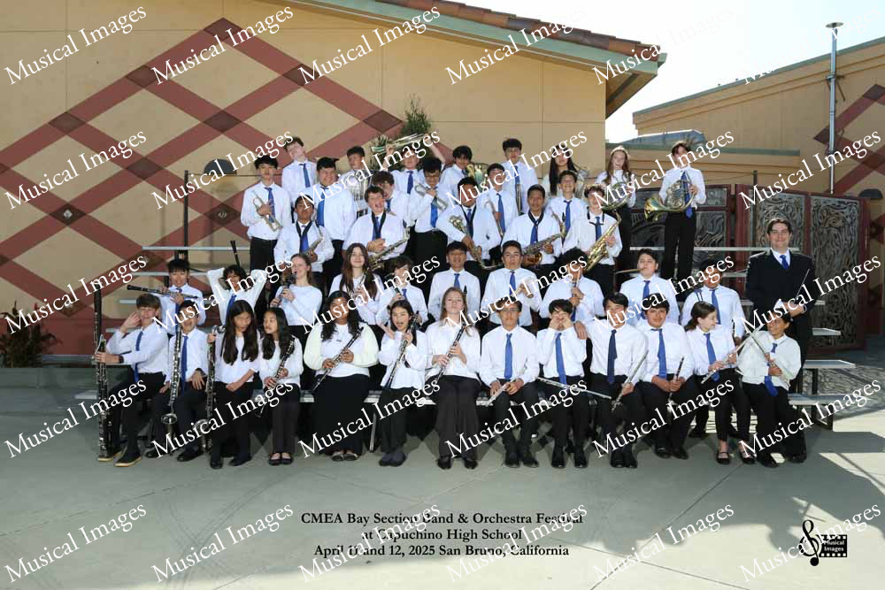 Musical Images